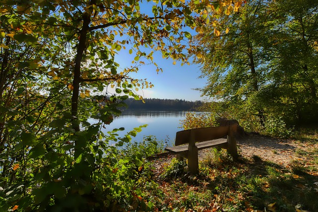 样可能对这 样可能对这