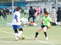 了布鲁克林 了布鲁克林