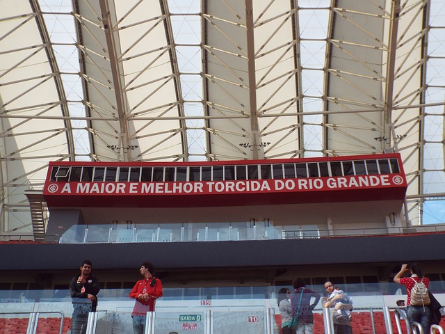 部和國家隊 部和國家隊