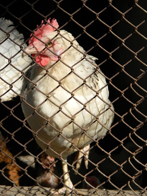 可以看出 可以看出