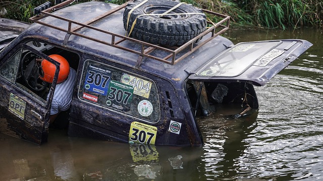 球数据离 球数据离