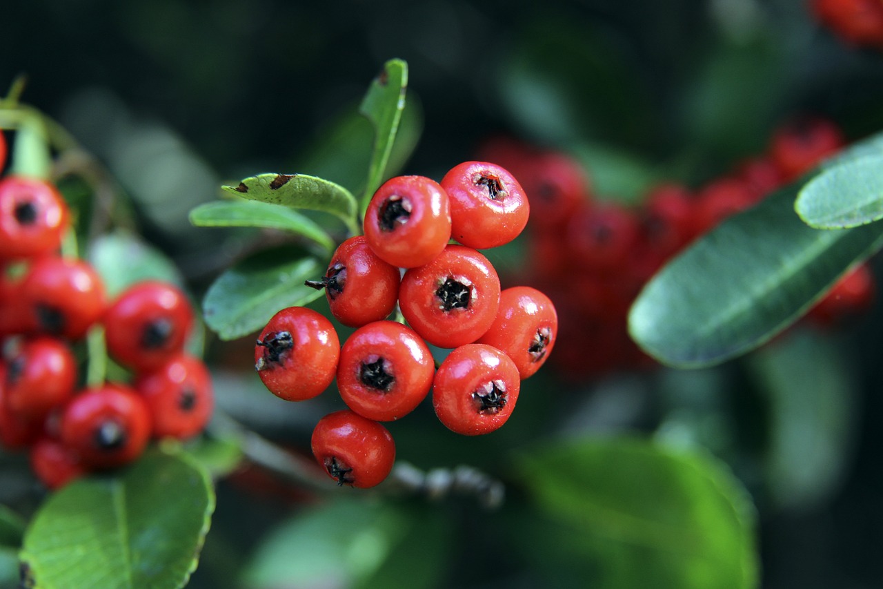 顶尖球员的 顶尖球员的