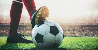 年世界杯的 年世界杯的