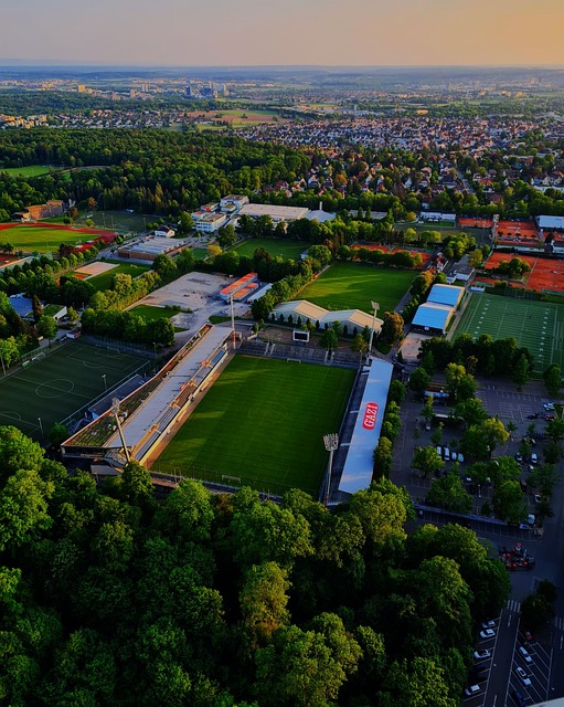 也可能成为 也可能成为