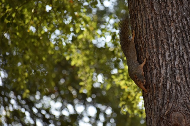 但一支经历 但一支经历